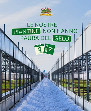 Orto Mio Forli