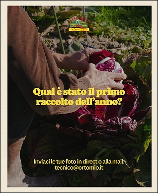 Orto Mio Forli