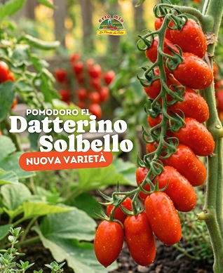 Orto Mio Forli