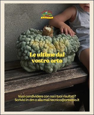 Orto Mio Forli