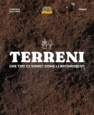Orto Mio Forli