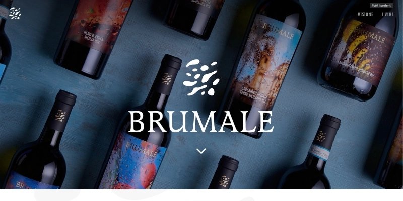 Schermata del sito Brumale